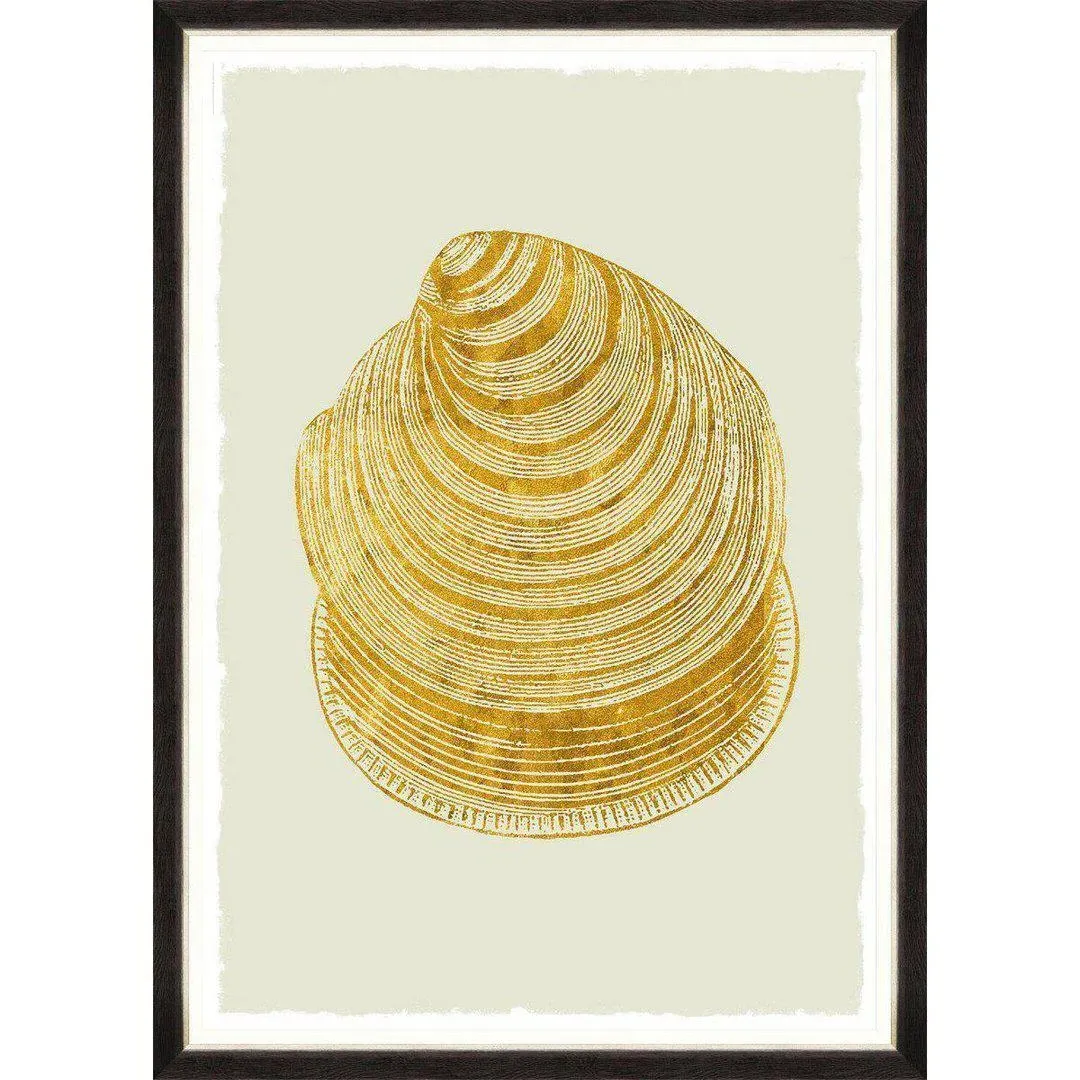 Framed Wall Art - Golden Seashell VI