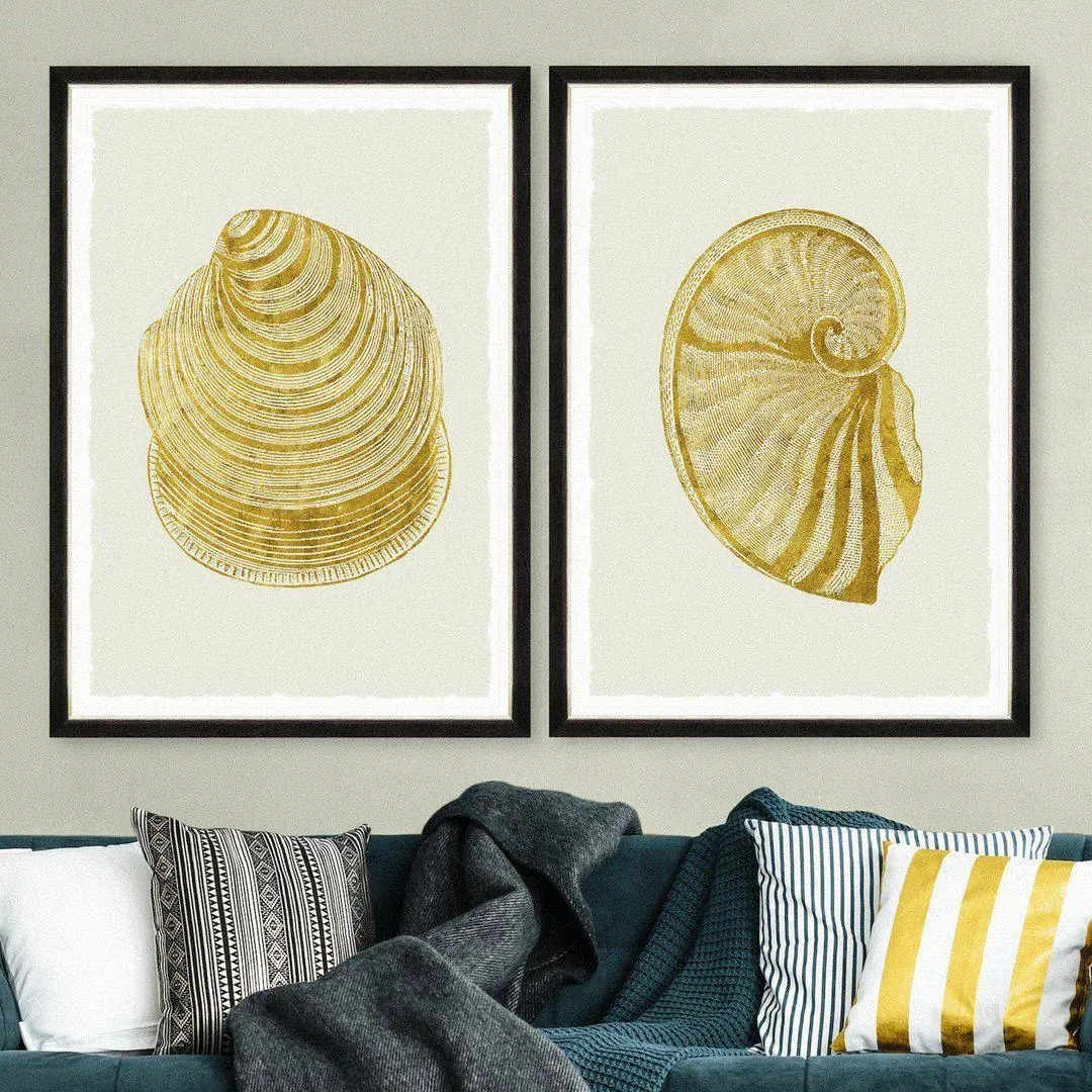 Framed Wall Art - Golden Seashell VI