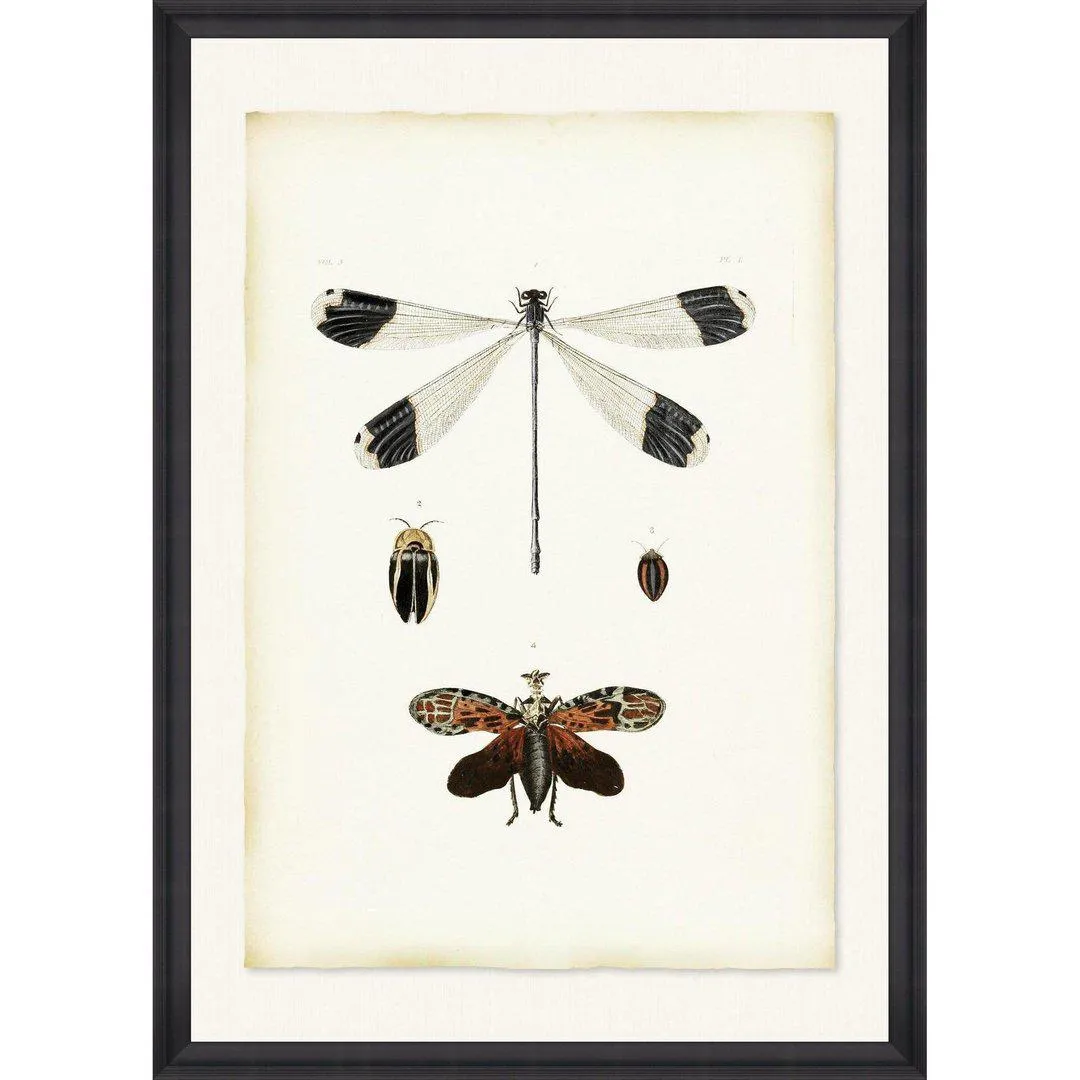 Framed Wall Art Print - Black Frame