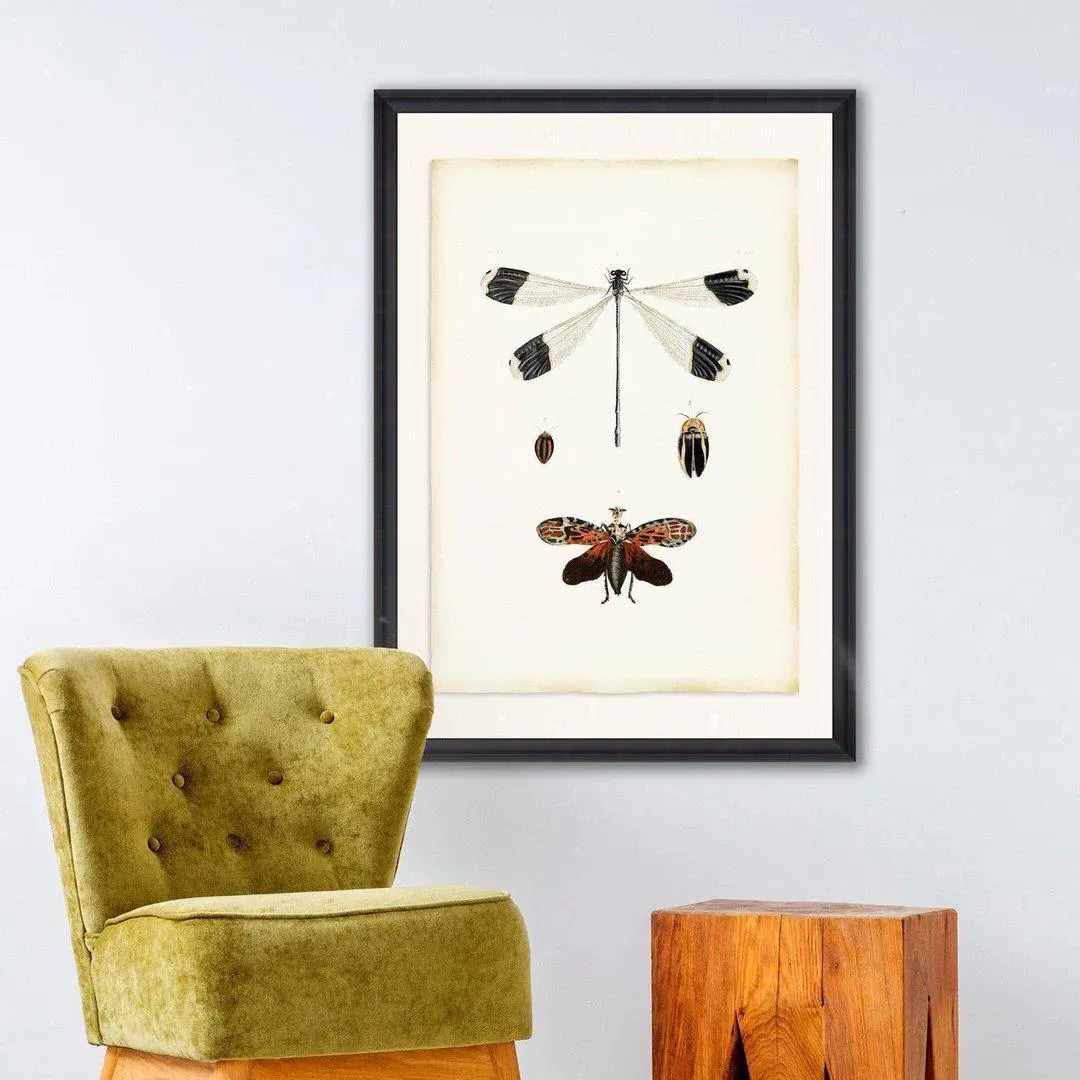 Framed Wall Art Print - Black Frame image
