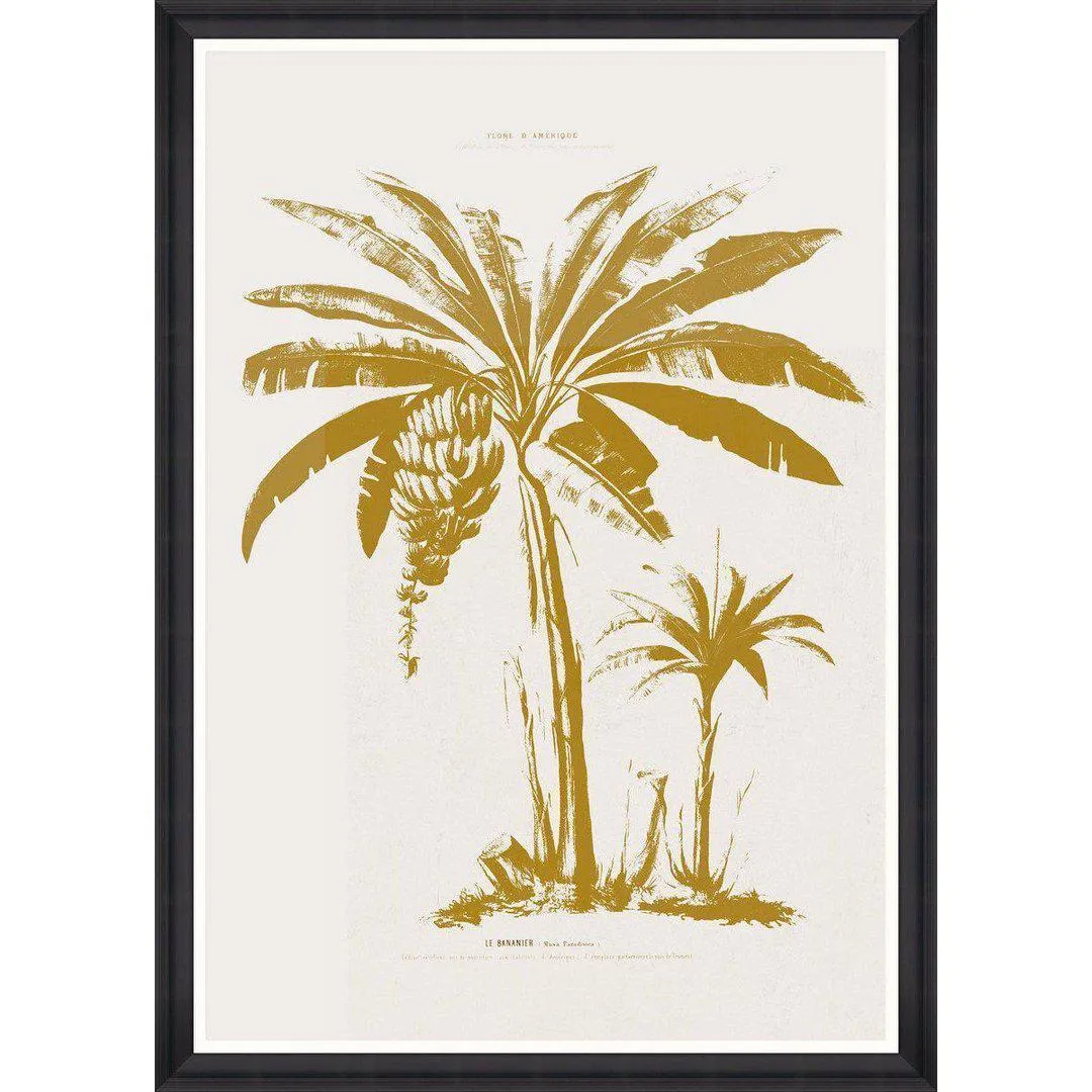 Framed Wall Art Print - Tropical Design