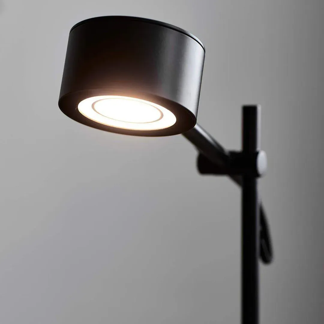 LED Floor Lamp with Adjustable Light Settings