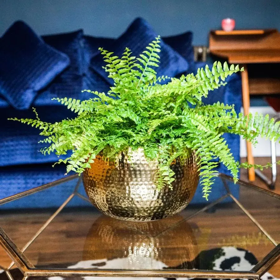 Medium Bowl Planter - Gold, Hammered Metal
