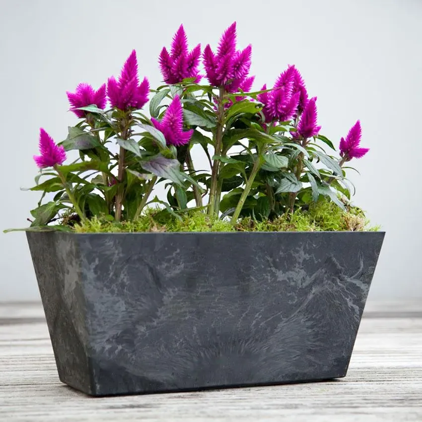 Medium Planter Trough - Black, Stone Composite image