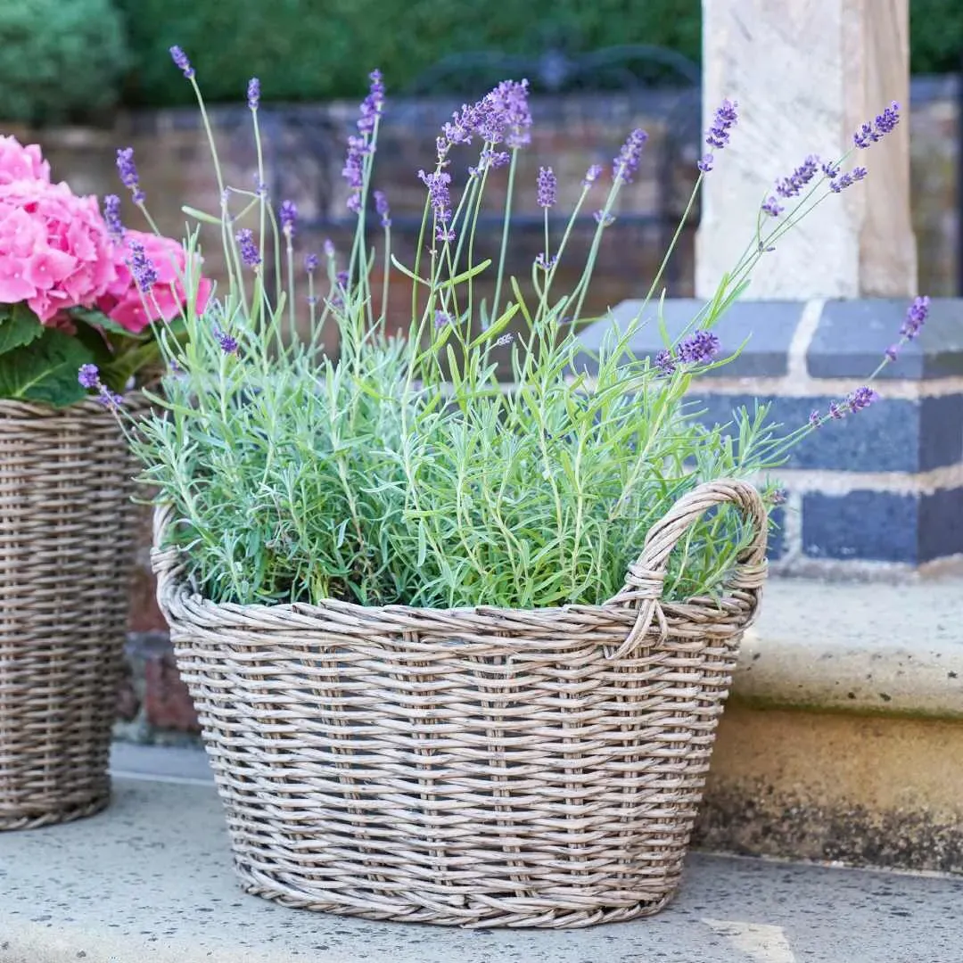 Small Planter Basket - Natural, Polyrattan