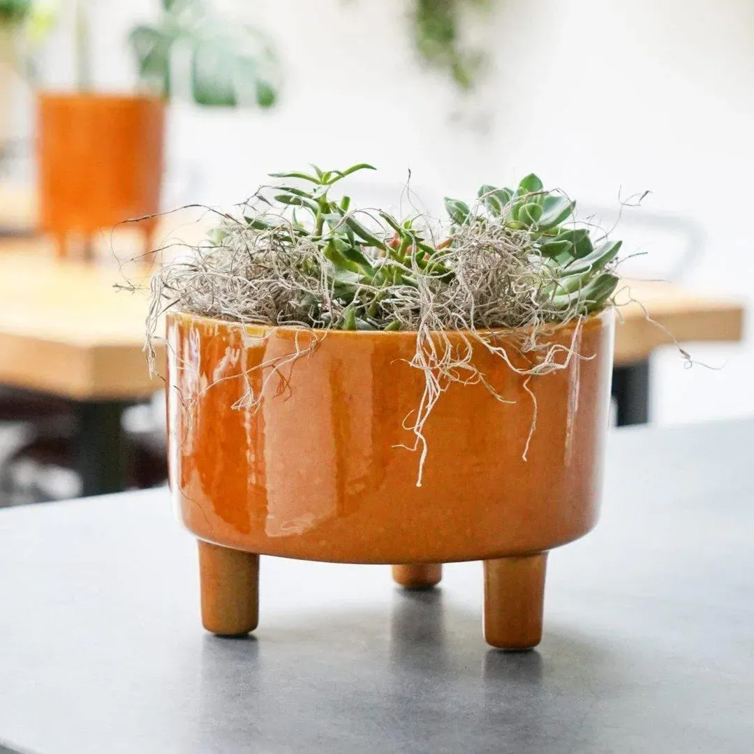 Tripod Bowl Plant Pot - Mustard, Ceramic