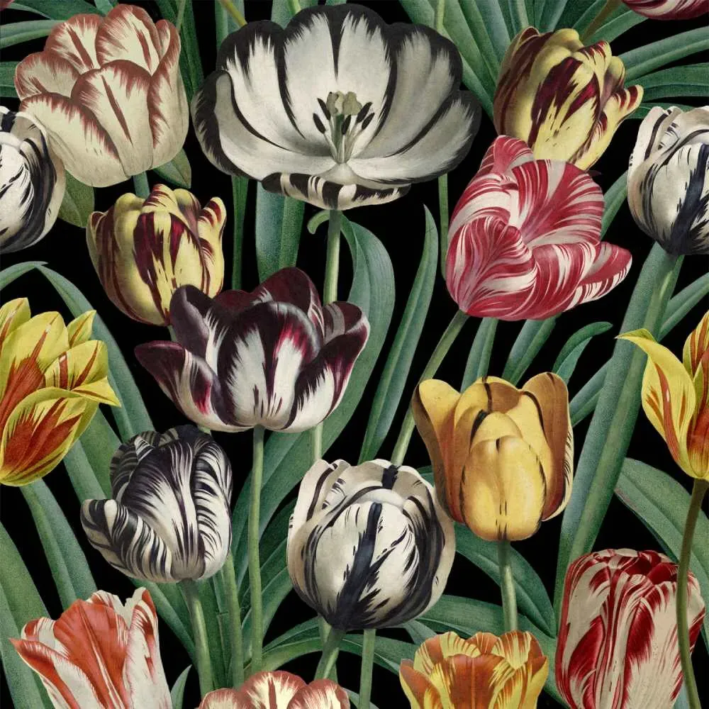 Tulipa Wallpaper - Set of 3 Rolls