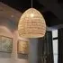 Rattan Art Pendant Light - Brown
