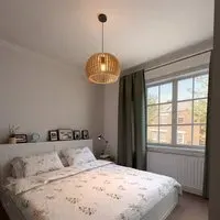 Shadome Pumpkin Pendant Light with Adjustable Cord - Wood