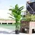 190cm Artificial Tropical Plant with Pot - Green, Plastic