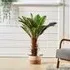 Artificial Boston Fern Plant - Green, Plastic