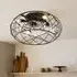 Caged Ceiling Fan with Light - Black