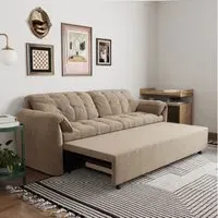 Cottonfy Cloud Chenille Sofa Bed with Storage