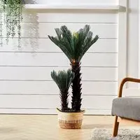 Double Cycas Artificial Plant in Planter - Green