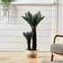 Double Cycas Artificial Plant in Planter - Green