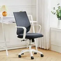 Mesh Back Ergonomic Office Chair with Lumbar Support - Black