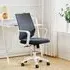 Mesh Back Ergonomic Office Chair with Lumbar Support - Black