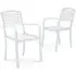 Set of 2/4 Garden Dining Armchairs with Metal Legs - WPC