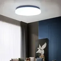 Ultra-Thin LED Ceiling Light - White, Iron