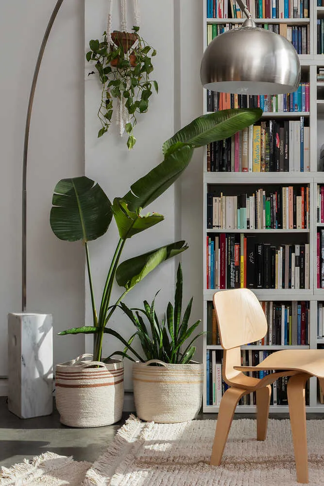 Lorena Canals Twin Storage Basket - Amber