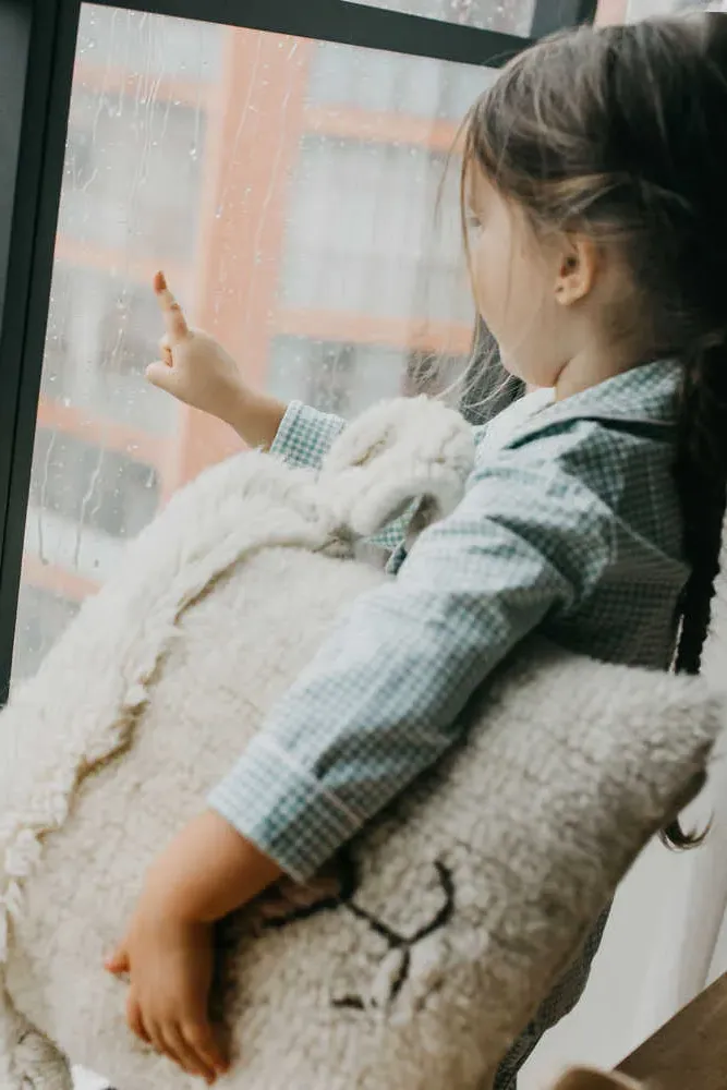 Pink Nose Sheep Wool Cushion - Pink