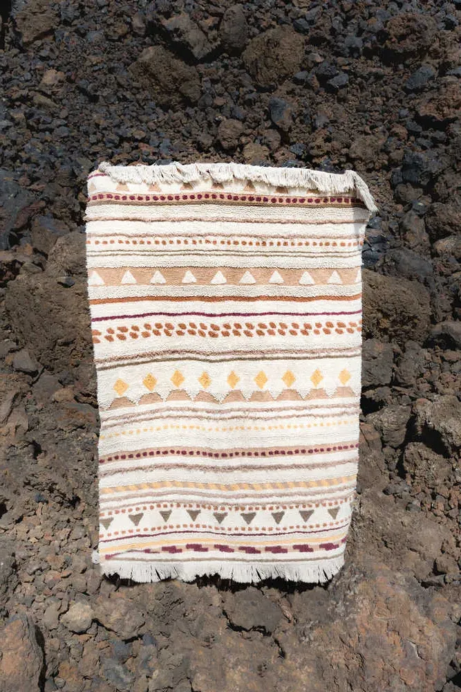 Sistan Washable Area Rug 4'7" x 6'7" - Multi-Color