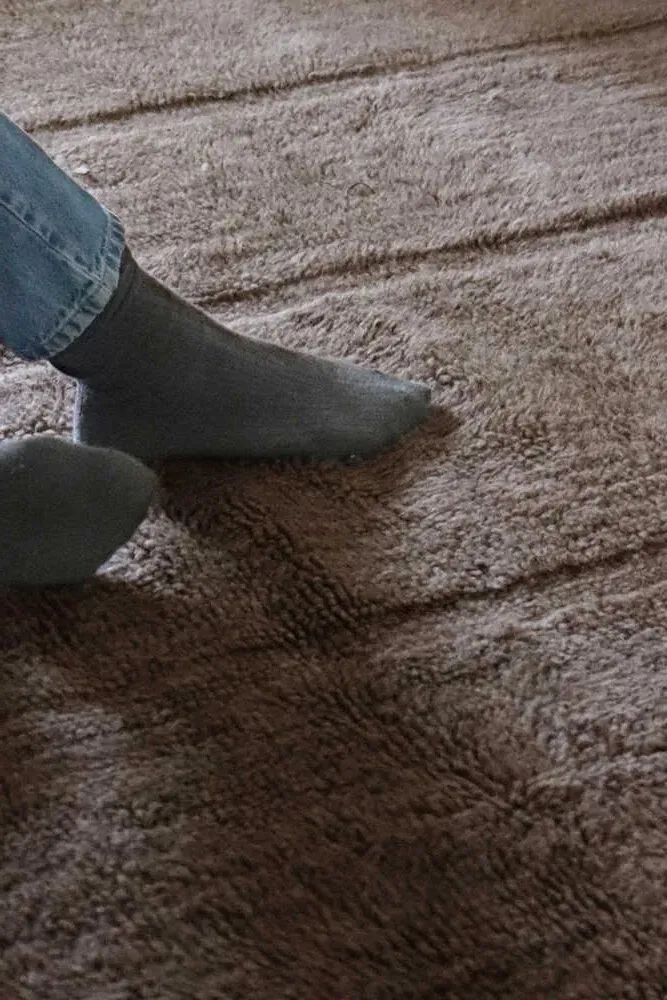 Steppe Area Rug - Brown, Wool