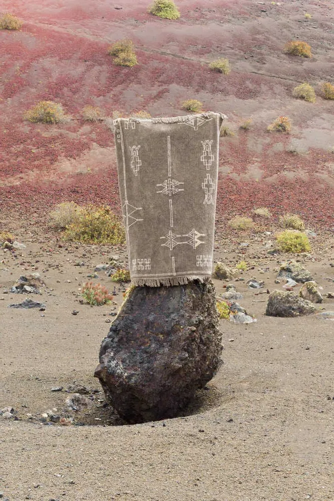 Washable Rug Kerman - Brown