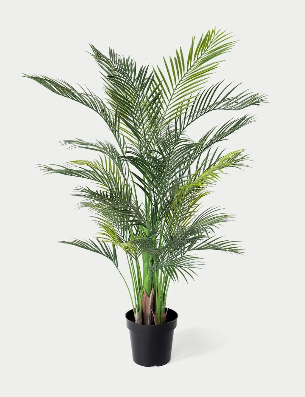 4.5ft Outdoor Areca Palm - Green product