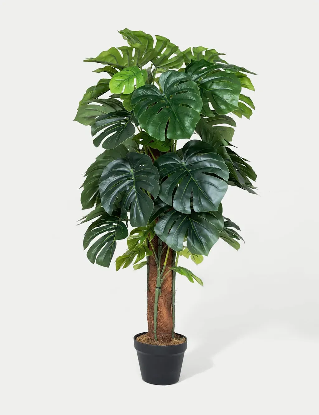 4ft Monstera House Plant on Pole - Green product