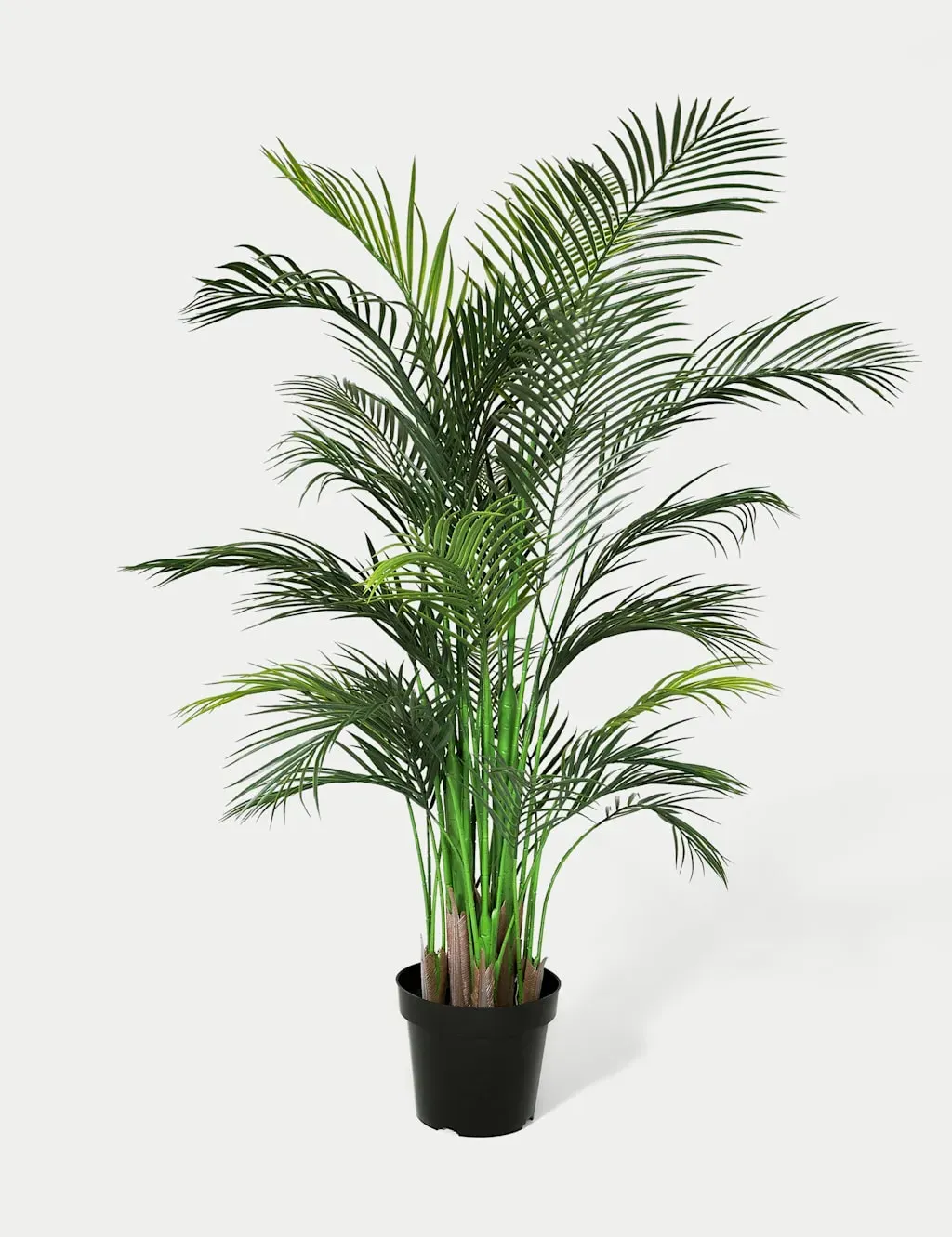 5.5ft Outdoor Areca Palm - Green product