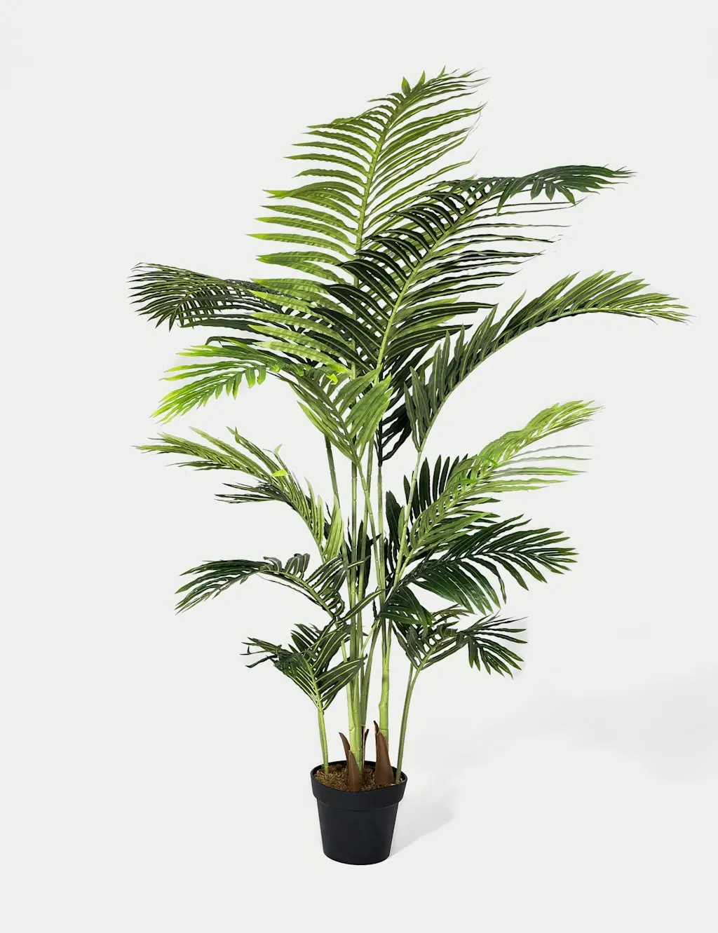 6ft Artificial Paradise Palm - Green product