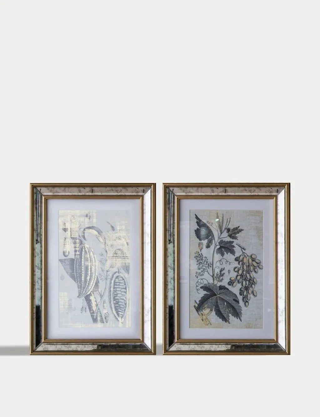 Braun Botanical Rectangle Framed Art (Set of 2) - Gold product
