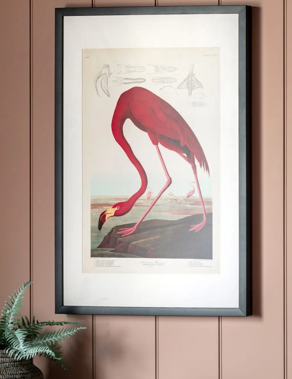 Curious Flamingo Rectangle Framed Art - Multi product