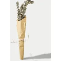 Dried Eucalyptus Bouquet - Green alternate view