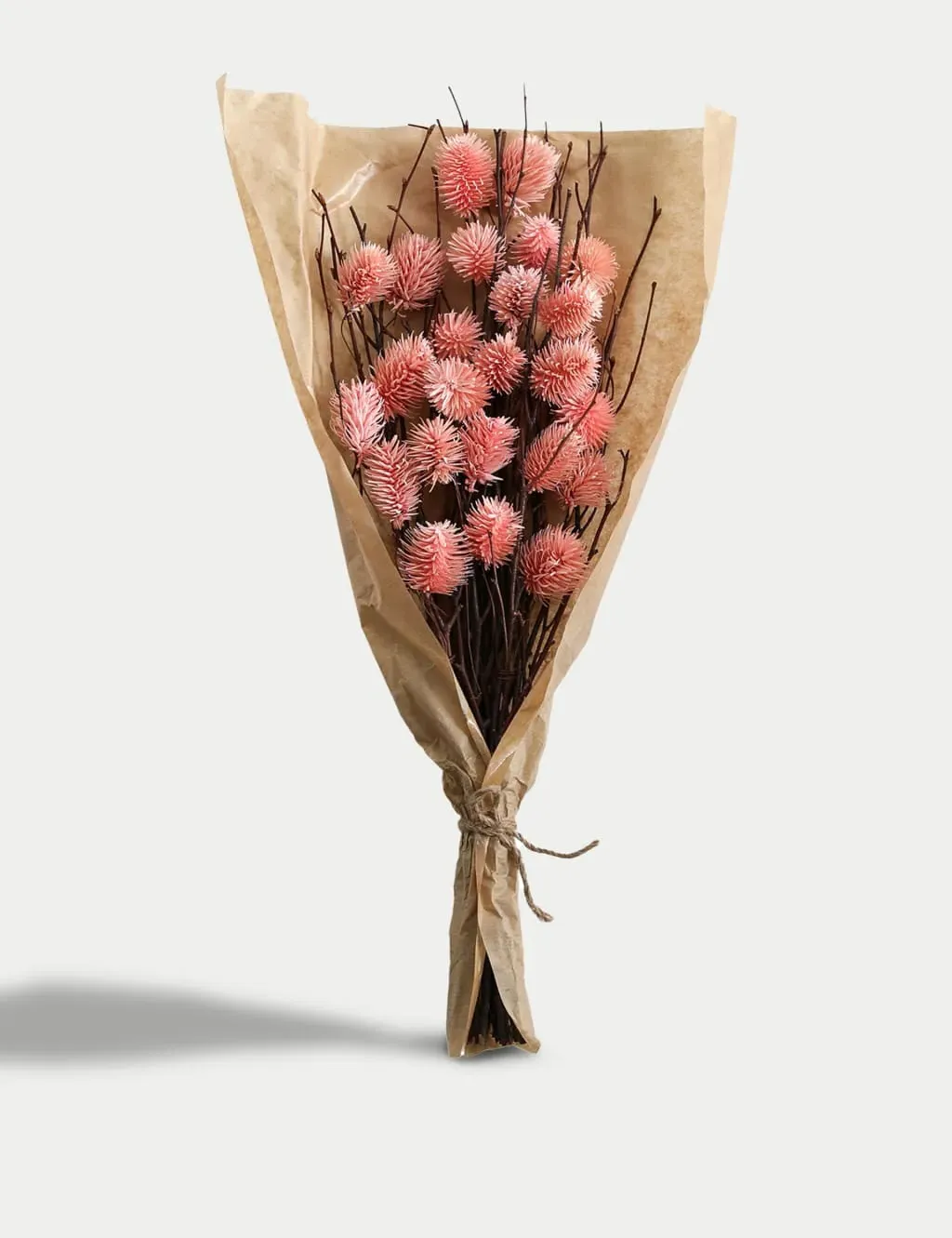 Dried Thistle Bouquet - Pink product