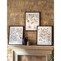 Evergreen Set of 3 Framed Art Prints - Black alternate view