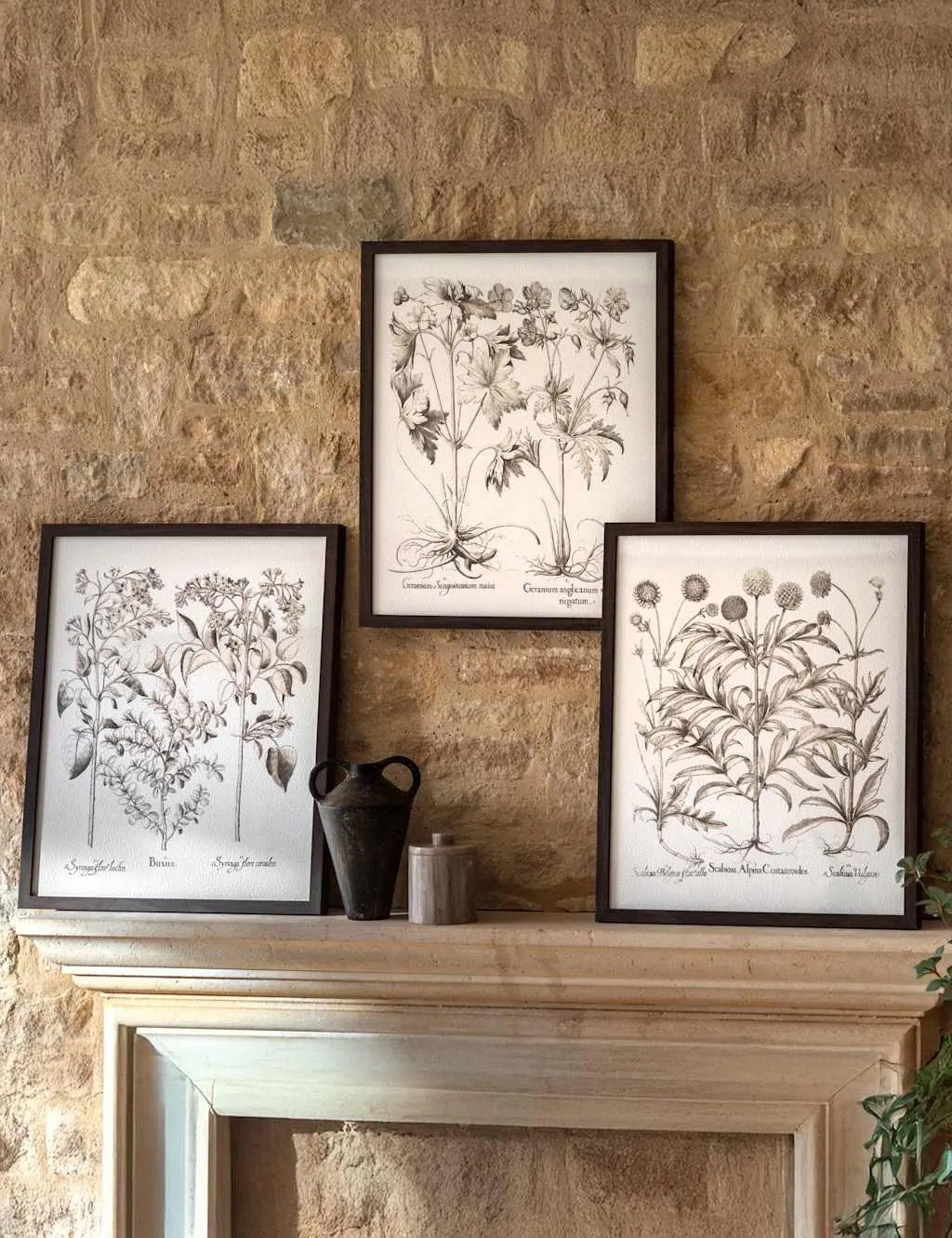 Evergreen Set of 3 Framed Art Prints - Black product