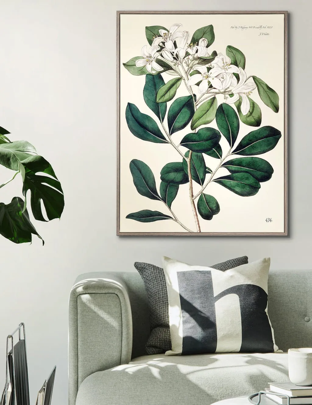 Foliage and Blooms Botanical Framed Art - Neutral product