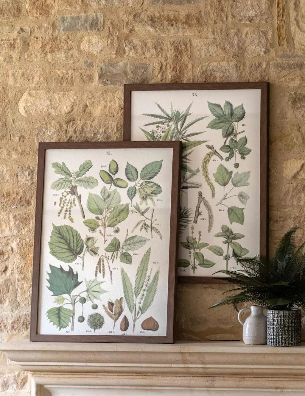 Foliage Study Set of 2 Framed Art - Green product