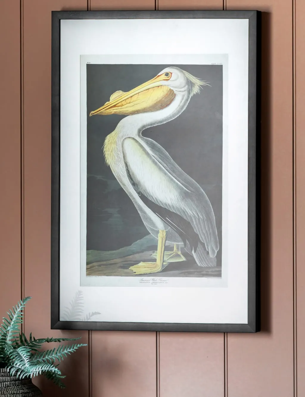 Inquisitive Pelican Rectangle Framed Art - Multi product