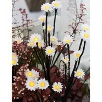 5pk LED Daisy Pathfinder Lights - White alternate view