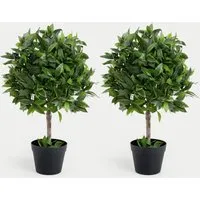 2.5ft Bay Bush Ball Trees Set of 2 - Green alternate view
