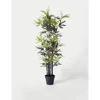 4ft Black Stem Bamboo in Pot - Green alternate view