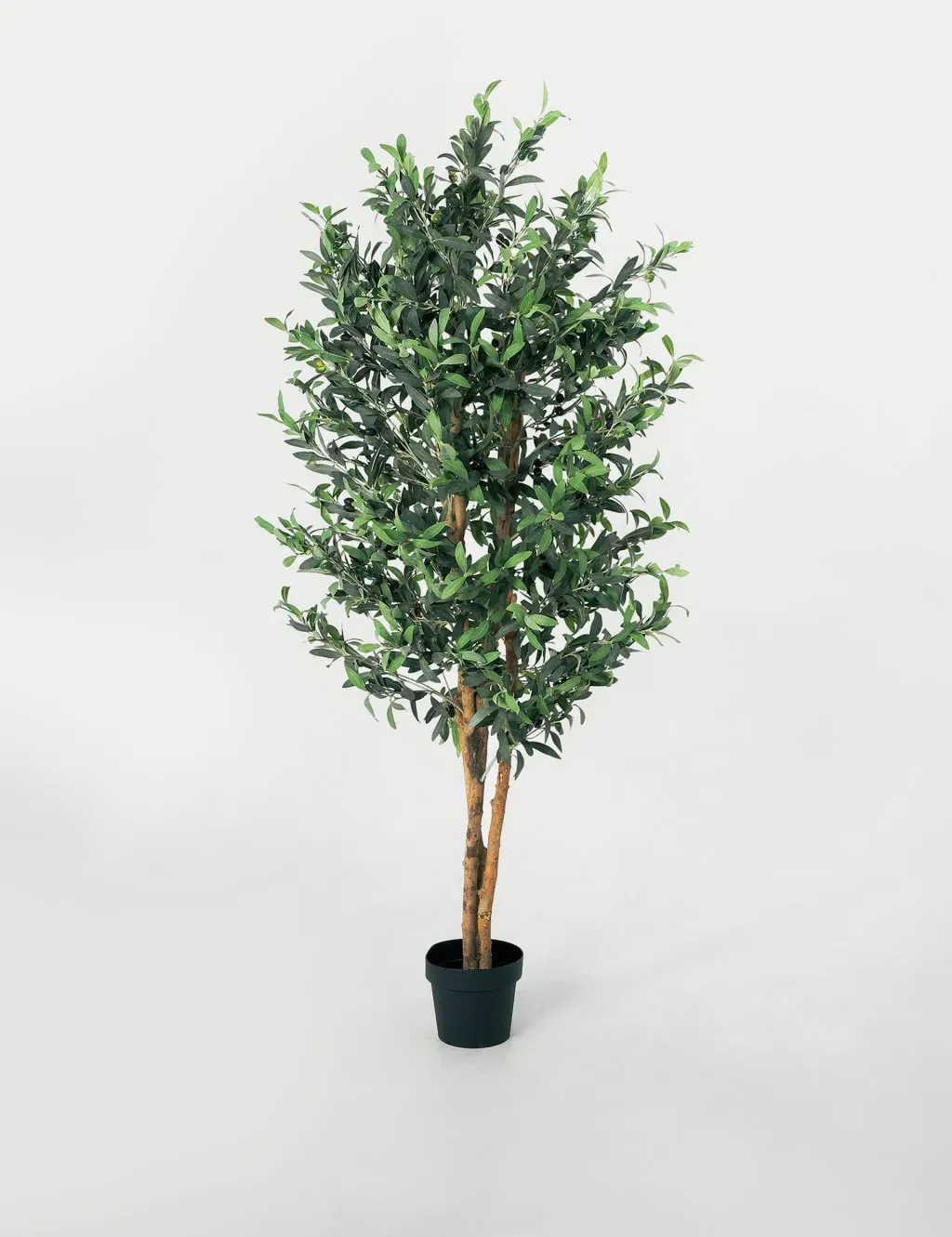 6ft Artificial Olive Tree in Pot - Green product