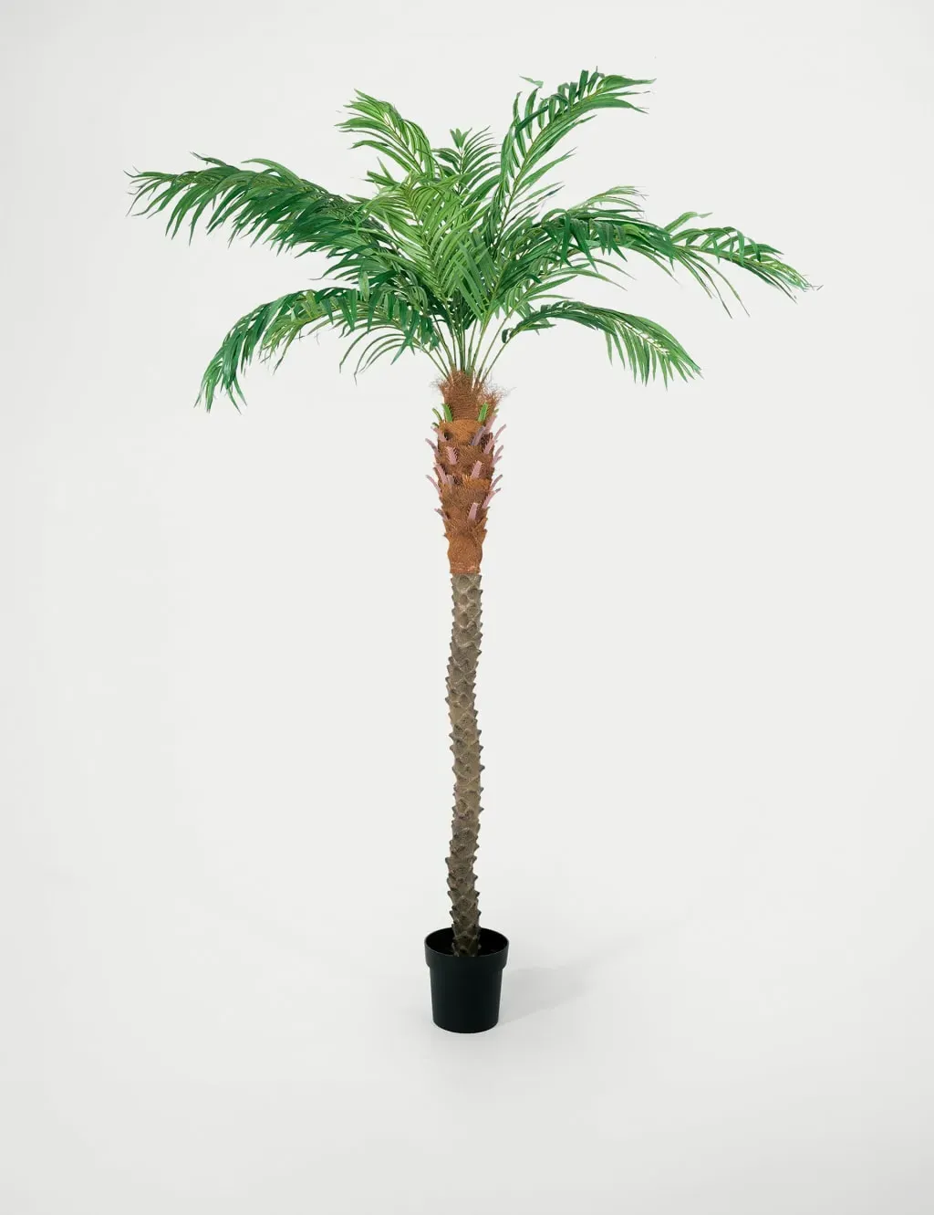 8ft Artificial Phoenix Palm Tree in Pot - Green product