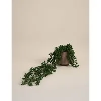Artificial String of Pearls in Textured Ceramic Pot - Brown alternate view