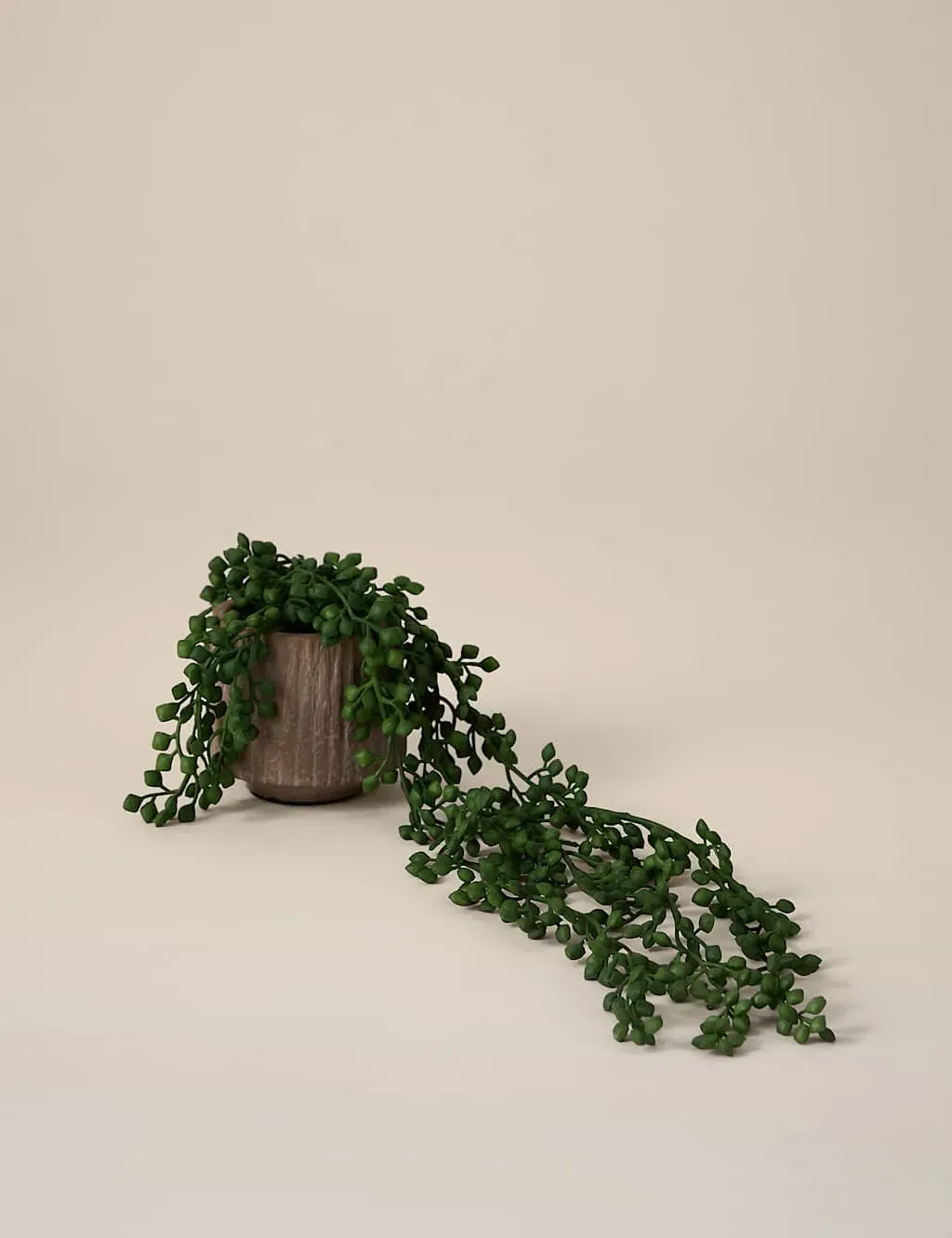 Artificial String of Pearls in Textured Ceramic Pot - Brown product