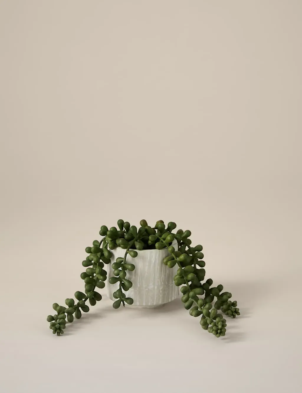Artificial Baby String of Pearls in Ceramic Pot - White product