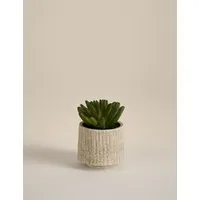 Artificial Mini Succulent - Brown, Cement alternate view
